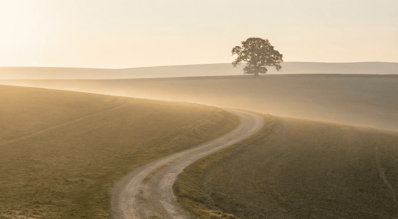 Winding country path at sunrise leading toward a single tree on a quiet horizon in soft golden light.