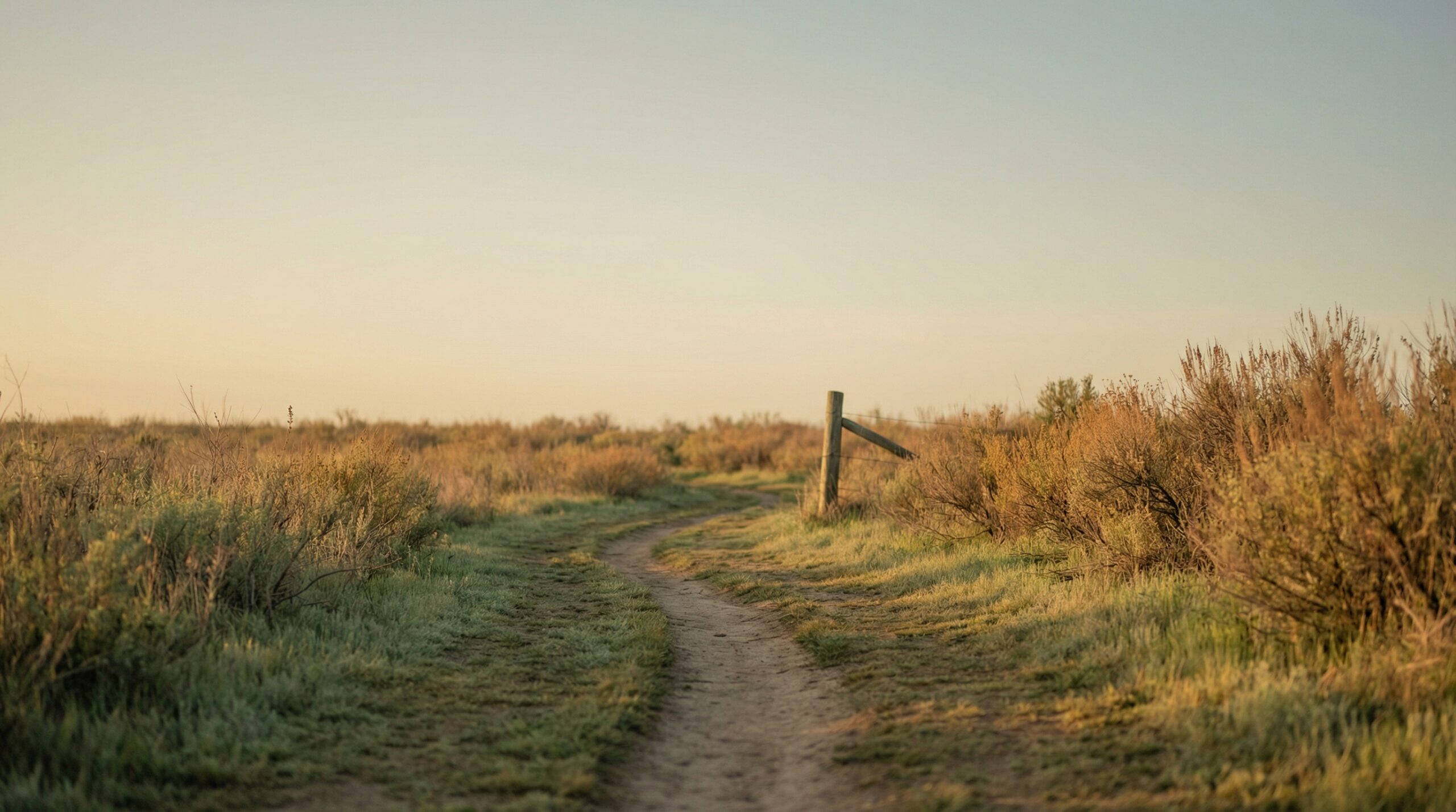 A worn dirt path through open shrubland with a leaning fence post in warm late-afternoon light
