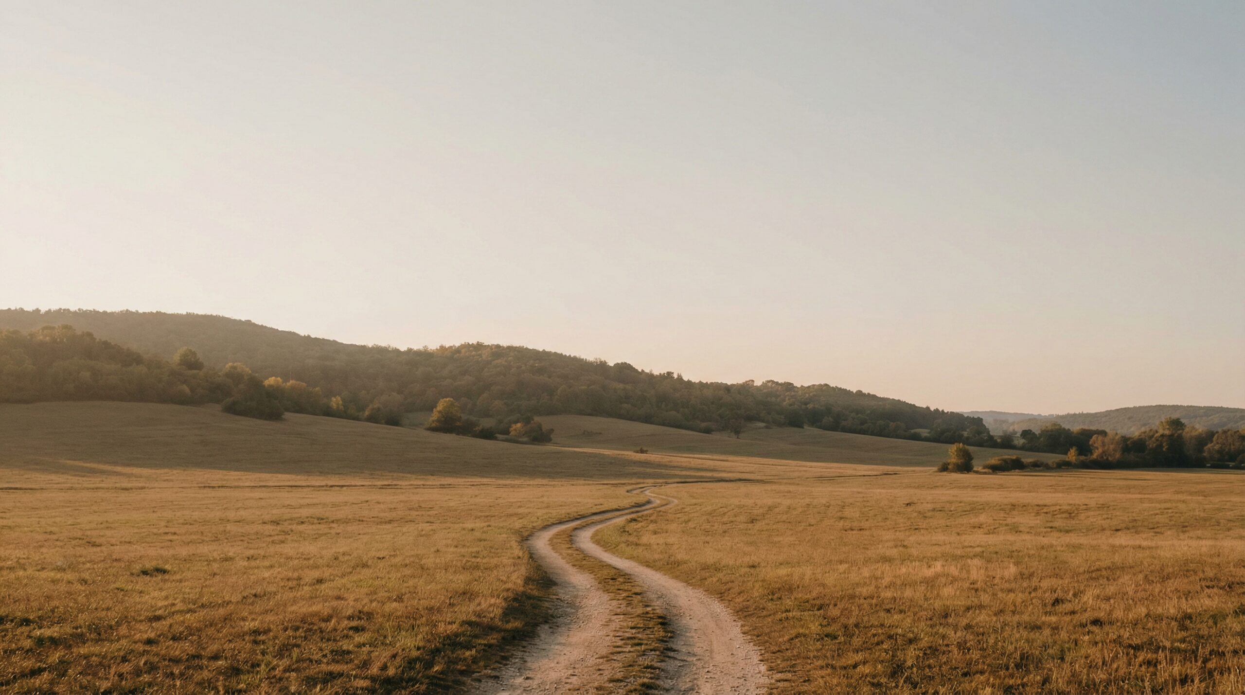 A winding dirt path through a wide golden field leading toward rolling wooded hills in soft morning haze