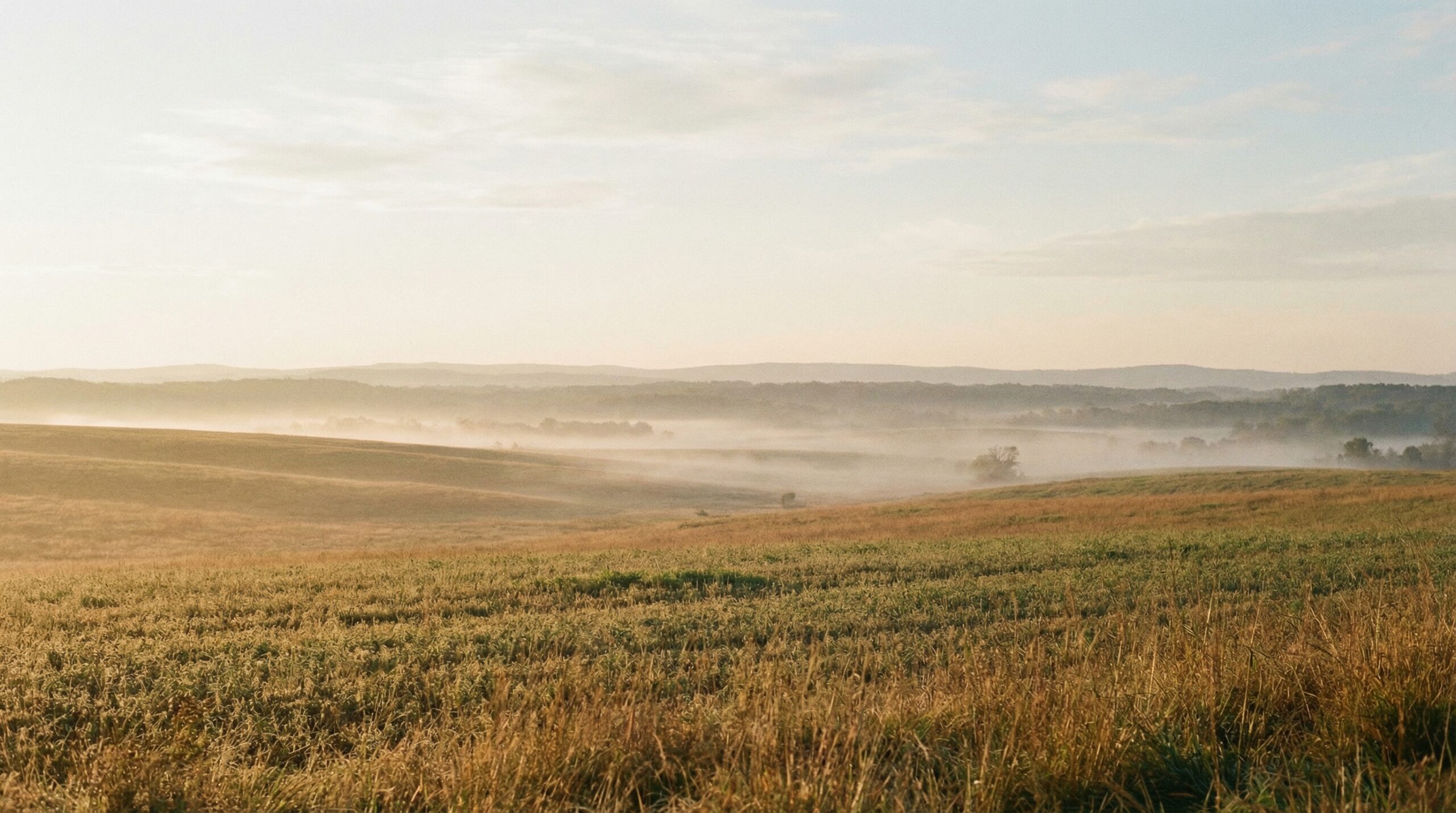 A wide open valley with rolling golden fields and soft morning mist beneath a pale blue sky at sunrise