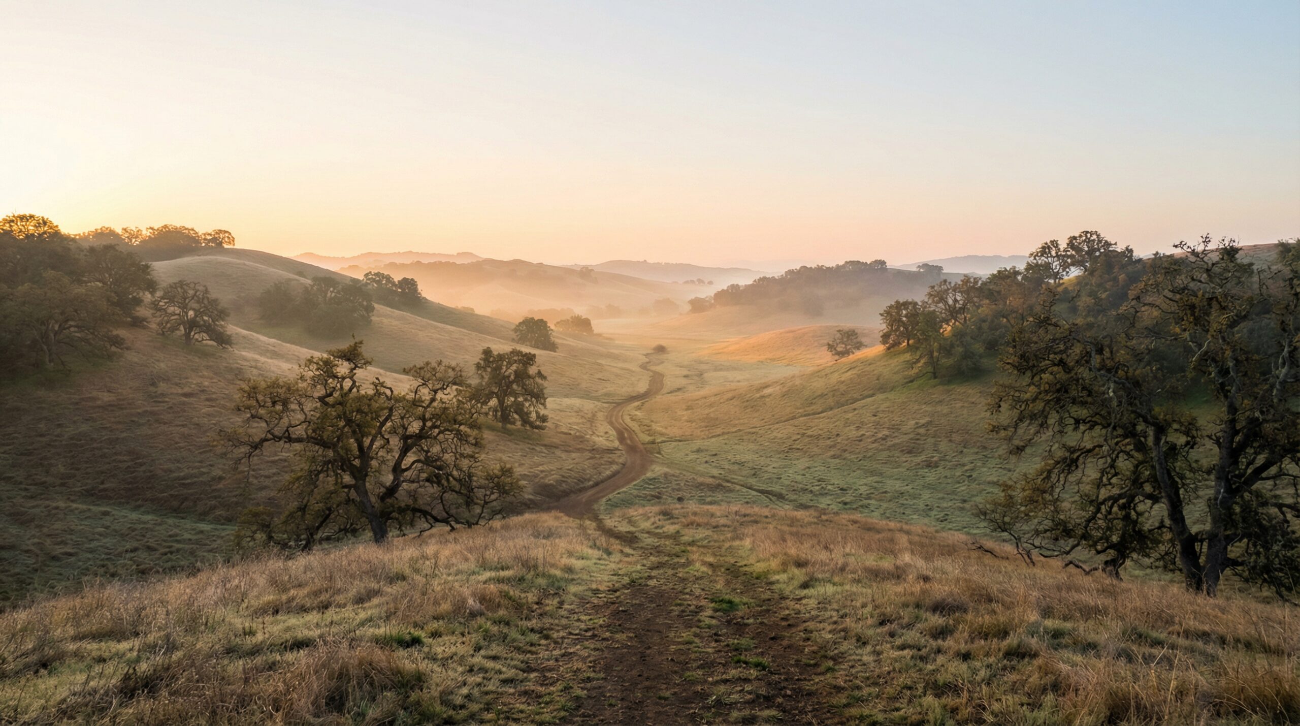A winding dirt path descending through golden oak-scattered hills into a soft misty valley at sunrise